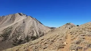 Boundary Peak Climb