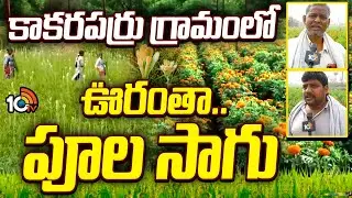 Flowers Cultivation In Kakara Parru Village | కాకరపర్రు గ్రామంలో ఊరంతా.. పూల సాగు | Matti Manishi