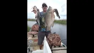 Catching Giant Tilapia in Florida on Fishin Addict Nano crays crawfish fishinaddict.com