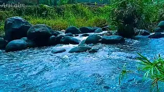 Soothing Mossy River Sounds – Gentle Rocky Stream Flow in a Peaceful Forest