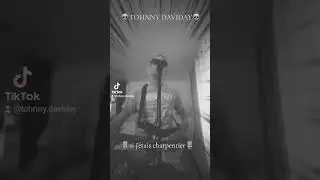 💀TOHNNY DAVIDAY💀 chante 🎙si j'&eacute;tais charpentier🎙 de  🎼 JOHNNY HALLYDAY 🎼