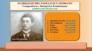 Carlos Brito Benavides