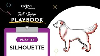 Dog Grooming Tutorial | Silhouette Style (Pet Stylist Playbook #8)