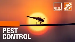 How-To Workshops - Pest Control | The Home Depot
