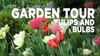 Garden Tour: My Tulip and Flower Bulb Order for Spring 2021