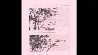 Angelo Harmsworth - Eucalyptus III [Vienna Press]