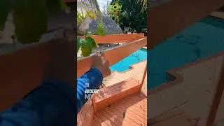EPIC passion fruit hack! #gardeninghacks #gardening #passionfruit