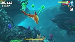 Sand shark not bad hungry shark world