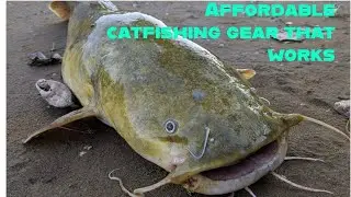 Affordable catfishing gear that works