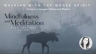 Moose Meditation - A 10-minute guided meditation with the Moose Spirit (Inspiration story)