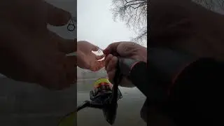 Day 11 of one cast on my lunch break.  Crankbait or nothing.