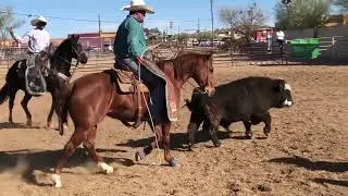American Cowboy Culture