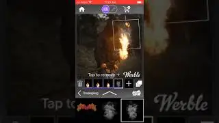 The forest man effects in werble