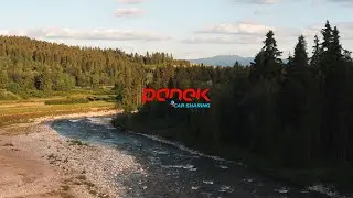 PANEK - Mobilność, kt&oacute;ra łączy ludzi
