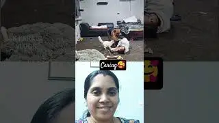 #ytshorts What love 🥰🥰#pet#dog#cat #care#love#viralshorts