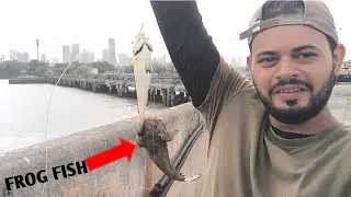 Mumbai Fishing 🎣 New location Catch New Spices of Fish 🐠🐟 Best Location IN Mumbai