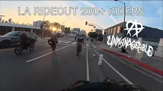 Unmanageable Los Angeles Rideout