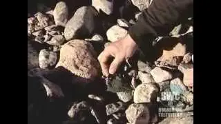 Поиски пропавшего флота экспедиции Франклина