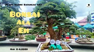Bonsai Ala Eh' Batangas bonsai exhibit Home of yangya bonsai #bonsai #everyone