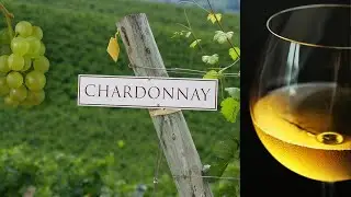 Chardonnay for Waiters - The Free Online Wine Course at The Waiter's Academy