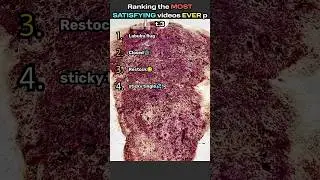 Ranking the most satisfying videos ever... #asmr #rugcleaning #relaxing #shorts