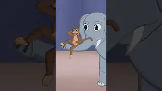 KIZZLE WORLD - Animal Fair