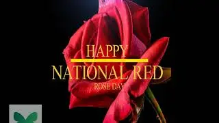 National Red Rose Day