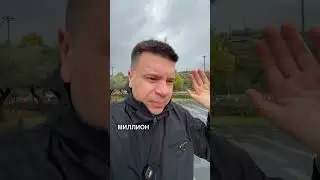 Золото падает на медвежий рынок: куда переливать активы