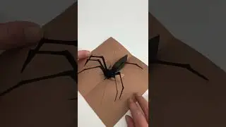 A Pop-up Spider (final version)