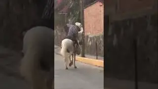 Drunken Cowboy #comedy #funny