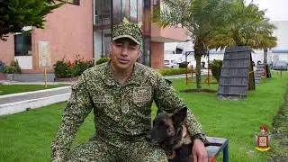 Historia del Infante de Marina Profesional Pineda Avendaño Henry