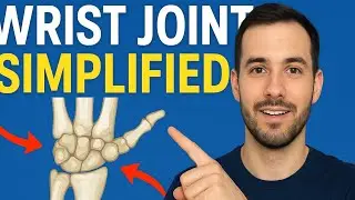 Wrist Joint Made Easy 🔥 | Anatomy, Bones & Movements |PhysioScope