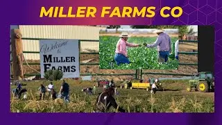 Miller Farms CO