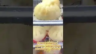 Baosheng steaming machine