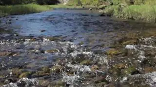 The Natural State of America (Trailer)