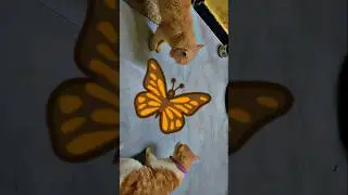 #trending #ytshorts #viral #shortsviral #short#shots #vlog #cat #cats#catshorts#catlife #viralshort