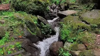 Relaxing River Water Sounds Ambience for Rest and Calm | Natural Flow Therapy for Stress Recovery