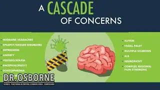 What are the Symptoms of a Leaky Brain