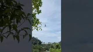 Bali Sky Bike Adventure 🤩 #shorts #shortvideo #bali #bestbalitravel #baliguide #balitravel