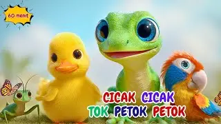 Kumpulan Lagu Anak-anak Ceria | Lagu Anak Indonesia populer