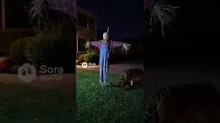 Animal Battle: Animated Halloween Decorations🧟&zwj;♂️#funny #ai #aistory #aivideo #popular #shortsfeed