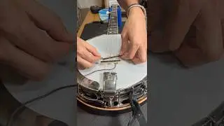 Install a banjo pickup with Liz!#workingwednesday #banjo #pickupinstallation #guitartech
