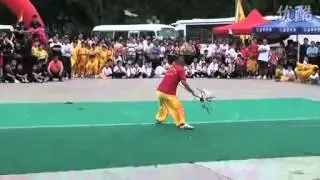 Choy Lee Fut-Nine-Dragon Trident 九龍大叉