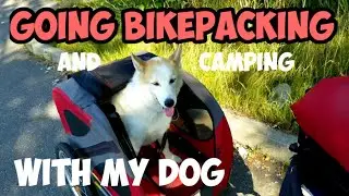 More Bikepacking And Camping With My Dog