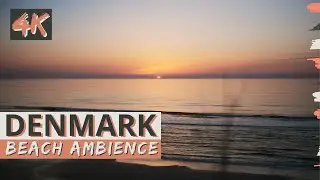 4K Ocean Ambience on a Beach in DENMARK with Soothing Wave Sounds and a Pretty Sunset Over the Ocean