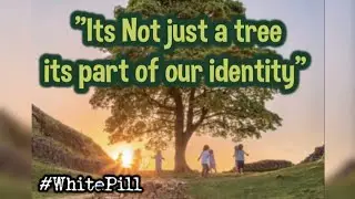 What we can learn from the Sycamore gap tree 🌳 New years #WhitePill 