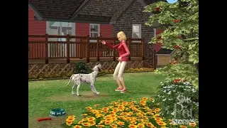 The Sims 2 Pet Stories. Первый этап выставки. Де Враль тоже участвует(