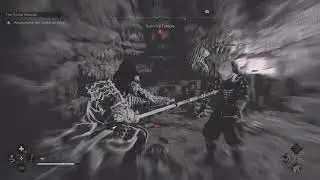 Assassin's Creed Shadows The godai of void