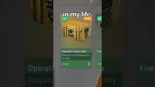 CS2 Can ACTUALLY Make You RICH