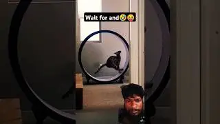 @ThyeWinterGardens🤣😝😀🤣😝 @4minar-7703 #funny #trendingshorts #youtubeshorts #comedymove #memes